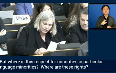 ELEN calls on EU to take action to protect European minoritised languages at the UN Forum for Minority Issues